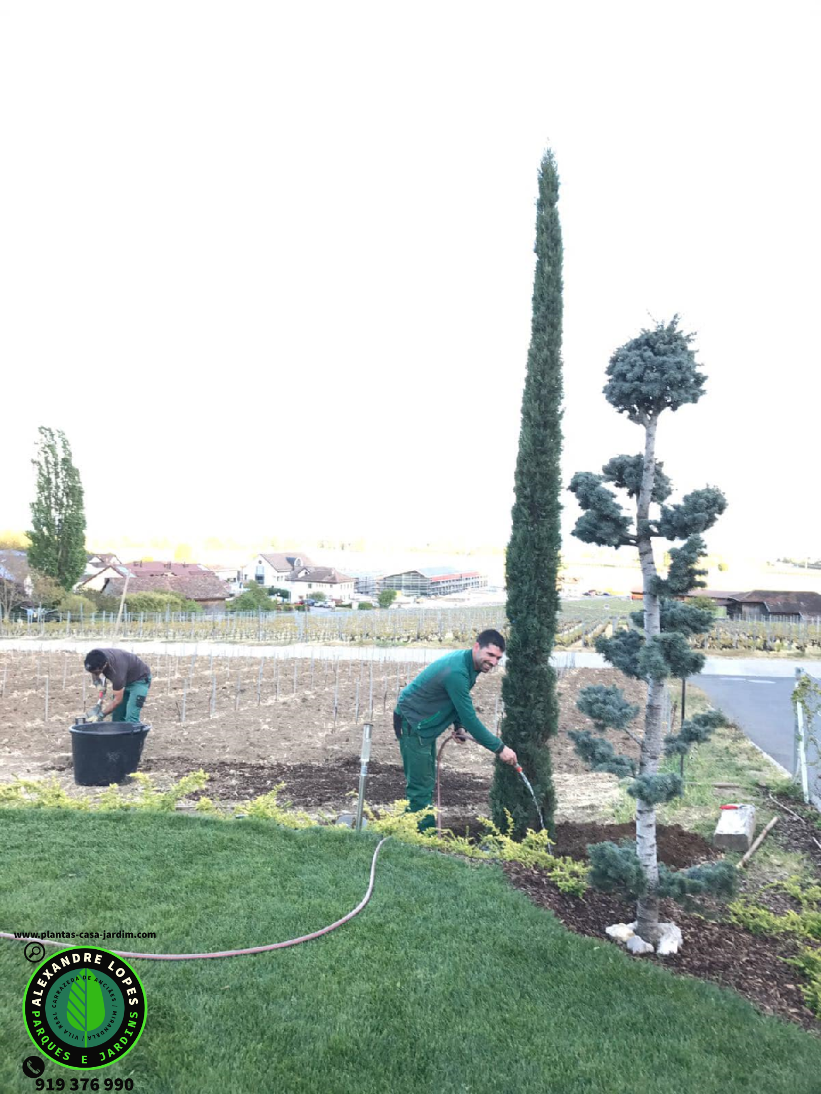 Jardineiro Vila Real