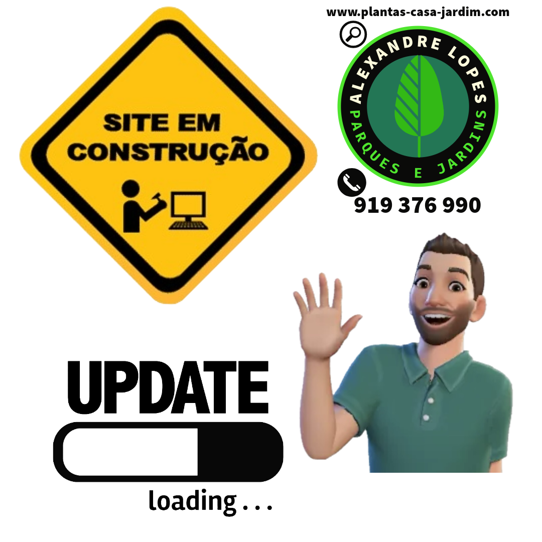 WeSite em construção e actualização