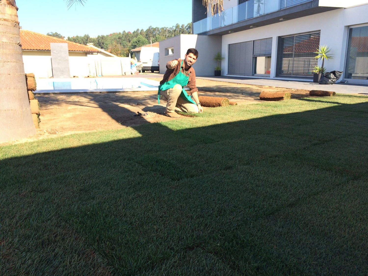 Relva em tapete preço