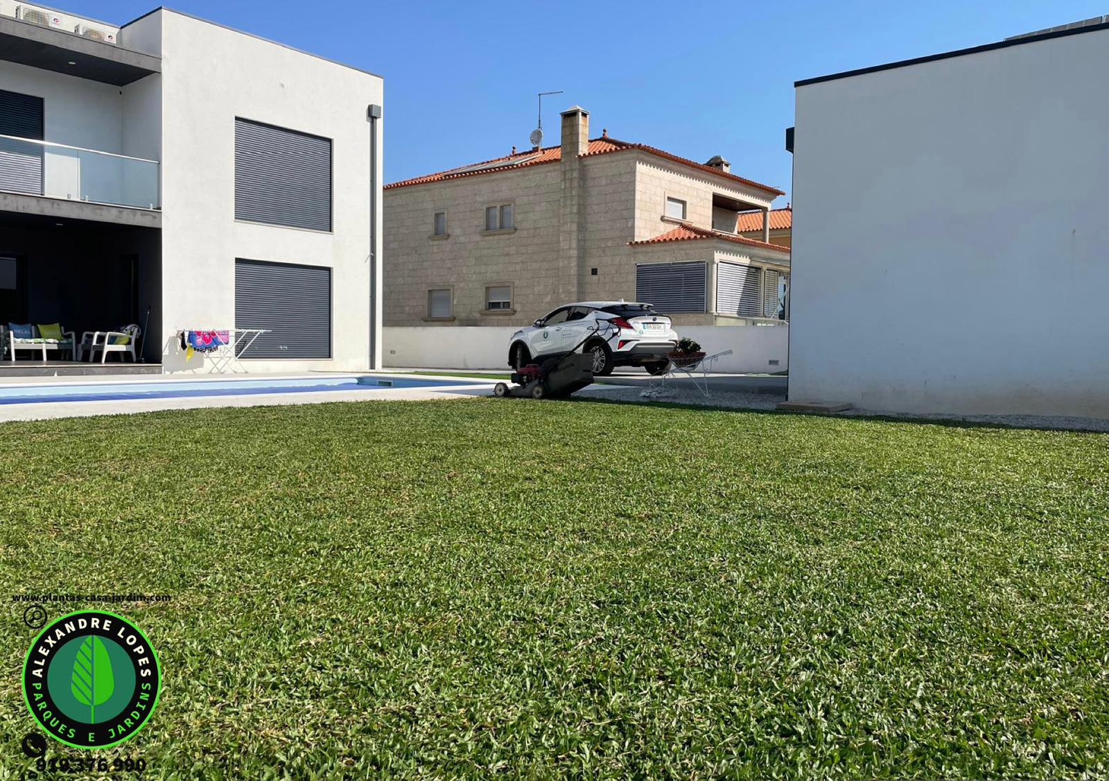 Aplicação de grama brasileira 