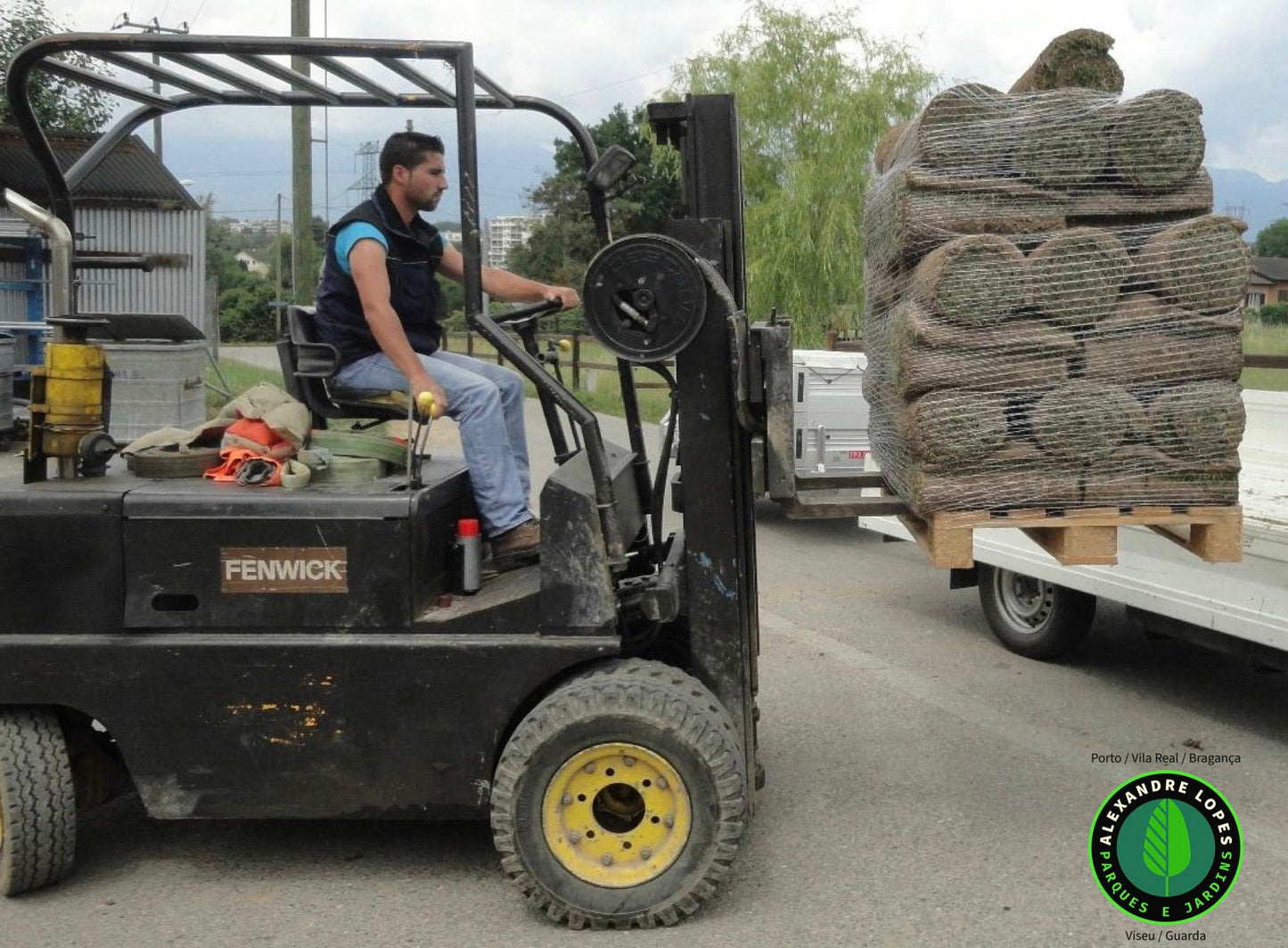 Relva em tapete natural / preço m2