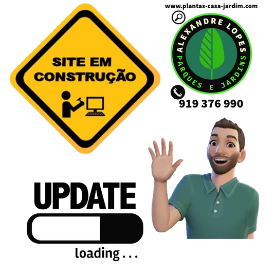 WeSite em construção e actualização